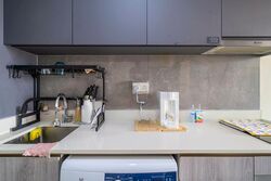 Riverfront Residences (D19), Apartment #507332031